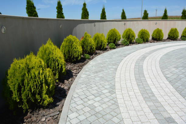 Reasons to Select Us for Your Driveway Paving Requirements in Kings Mills, OH